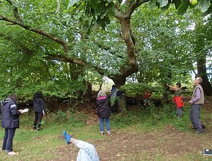 WW2W at Willows Lakeside Retreat Aug 25 c