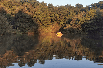 image_2025-12-01_145056733